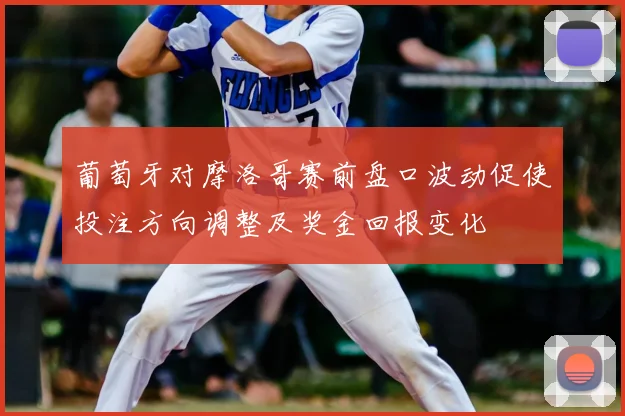 葡萄牙对摩洛哥赛前盘口波动促使投注方向调整及奖金回报变化
