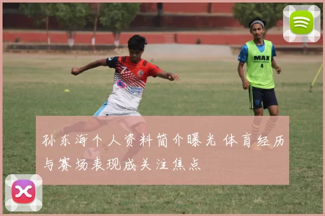 孙东海个人资料简介曝光 体育经历与赛场表现成关注焦点